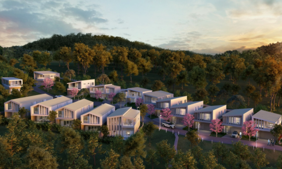 Will Bruder clads a mountain home in Aspen